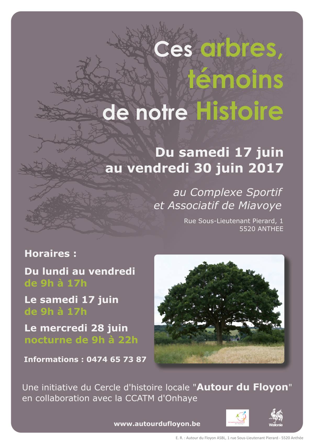 Visuel d’archive de l’exposition Ces arbres, témoins de notre Histoire.